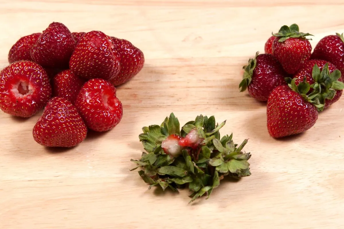 Hulled strawberries on a cutting board