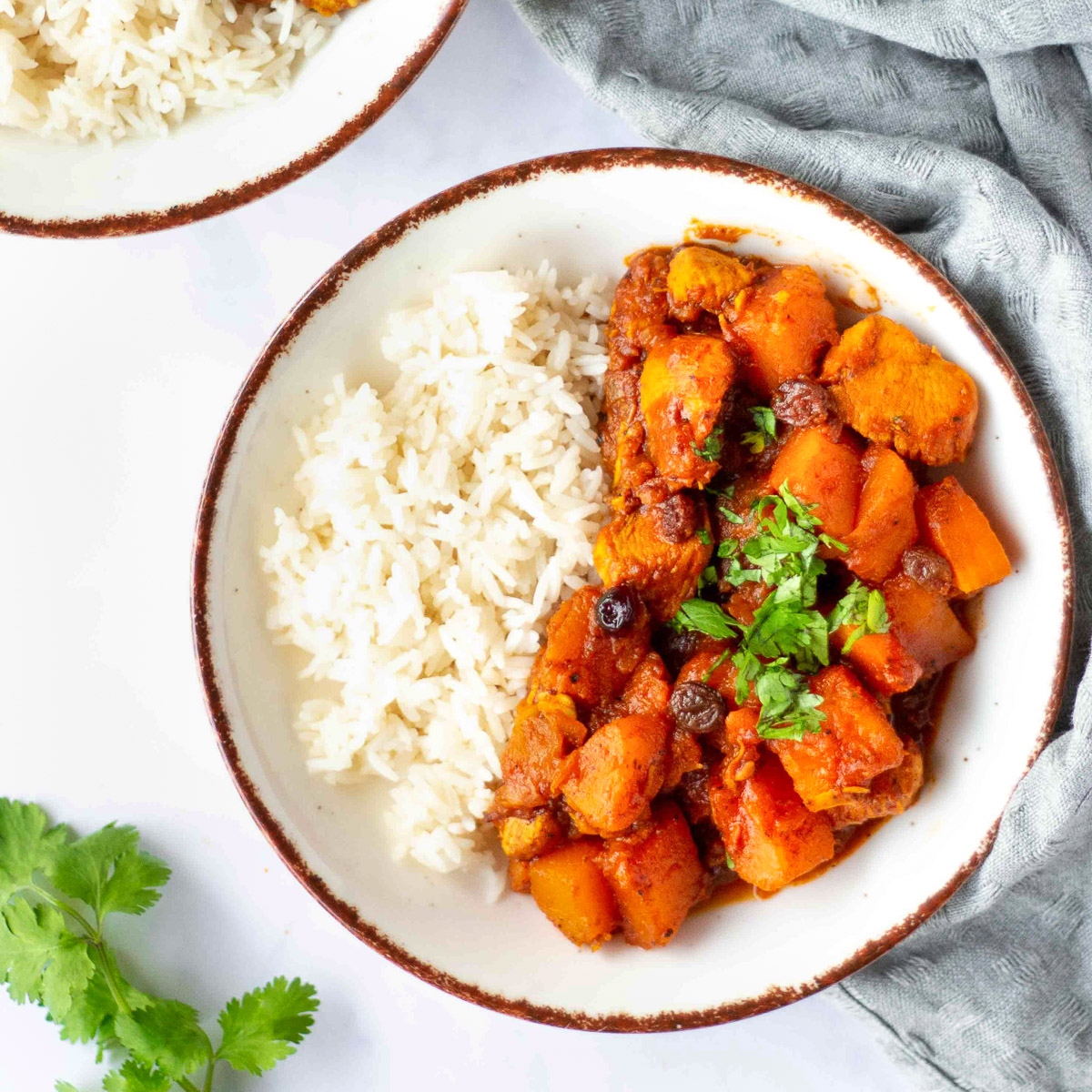savory chicken pumpkin stew on a plate with rice