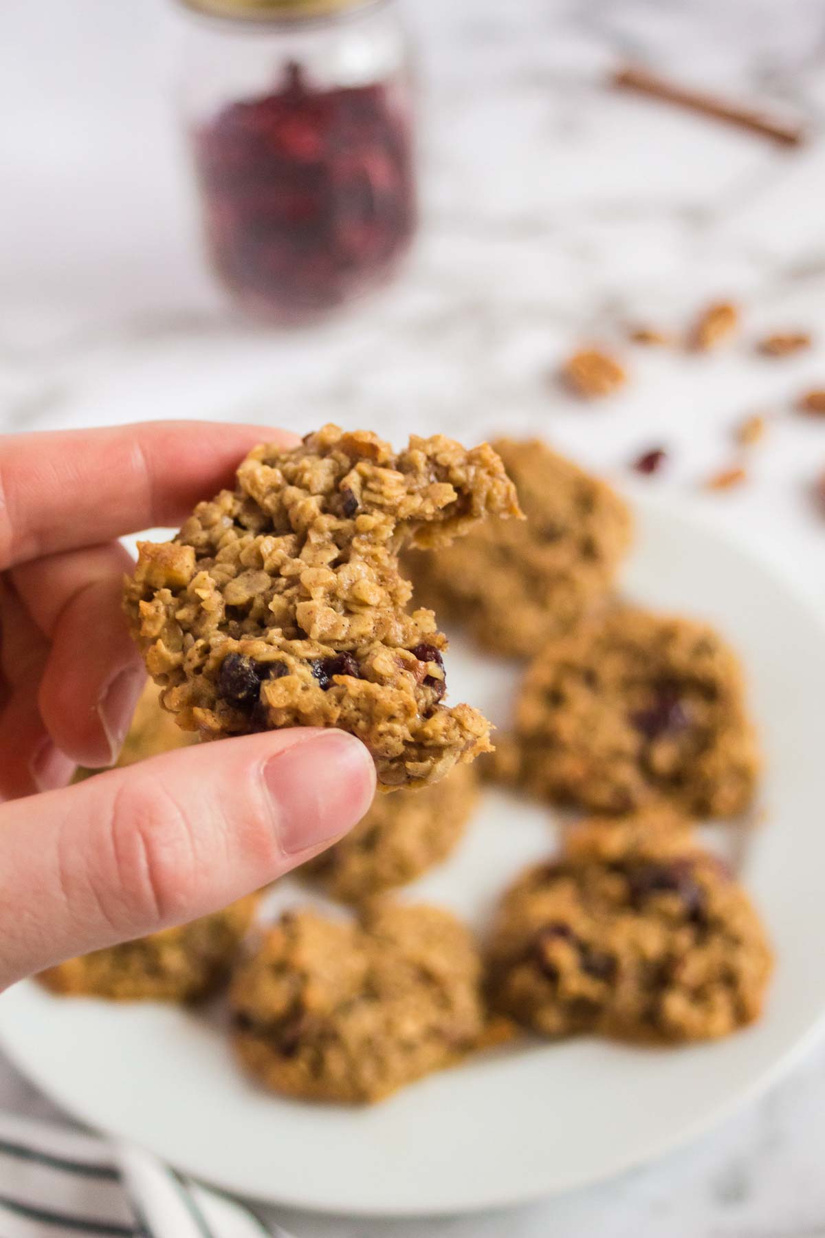 Hand holding oatmeal craisin cookie