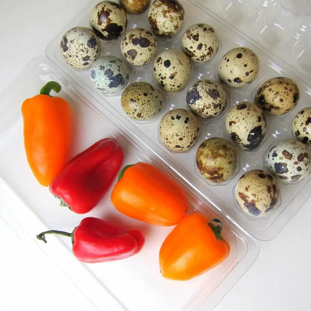 mini bell peppers with quail eggs recipe