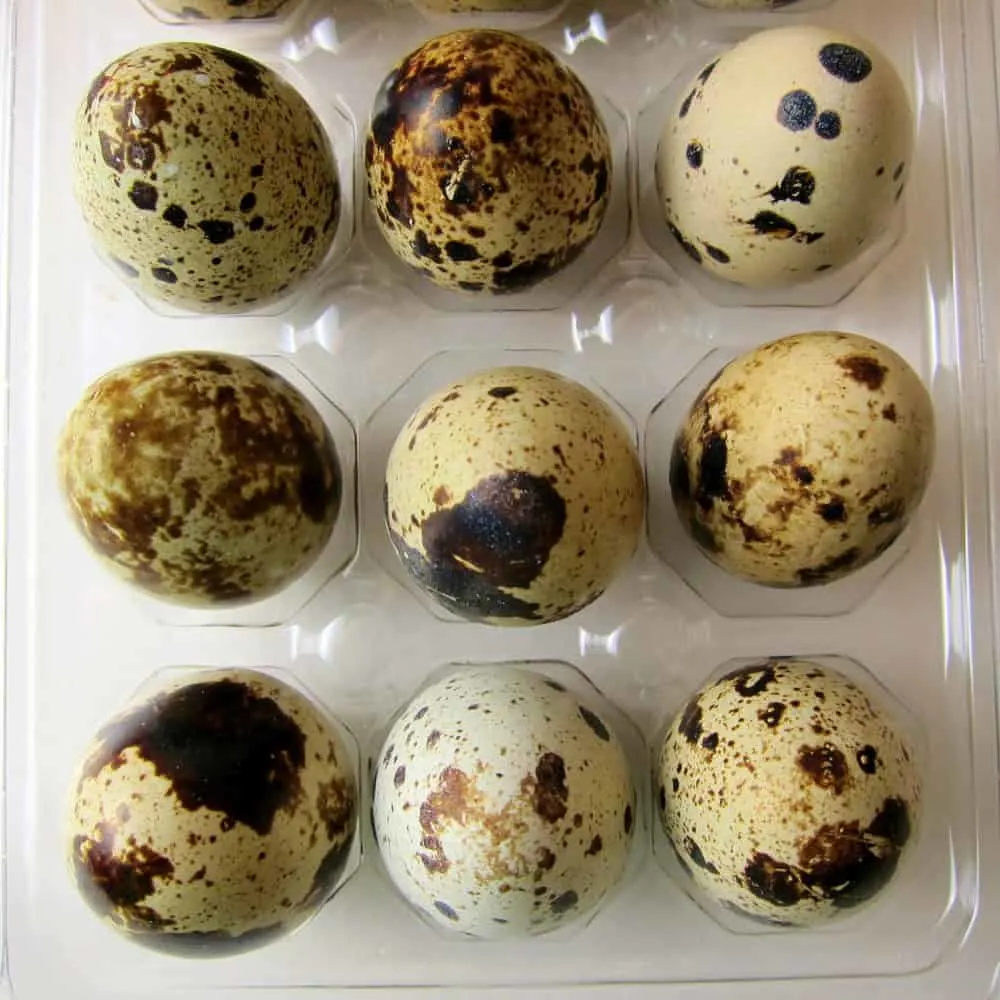 quail eggs in mini peppers