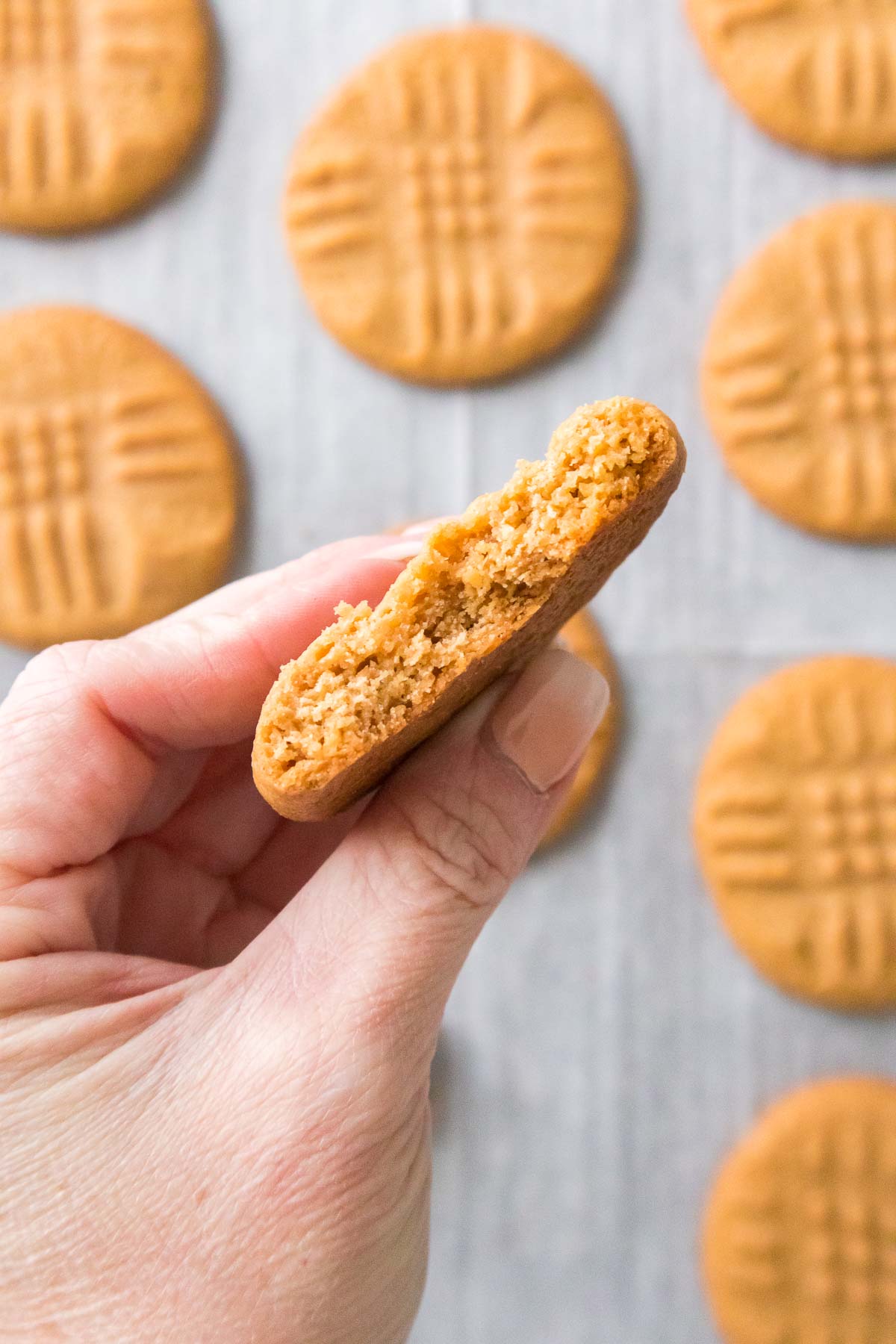 Hand holding peanut butter cookie broken in half to show texture inside