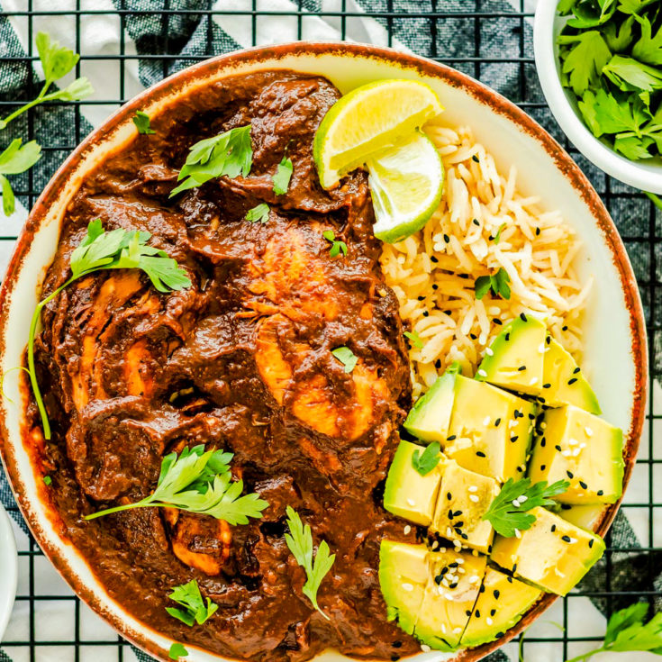 Easy Chicken Mole Babaganosh