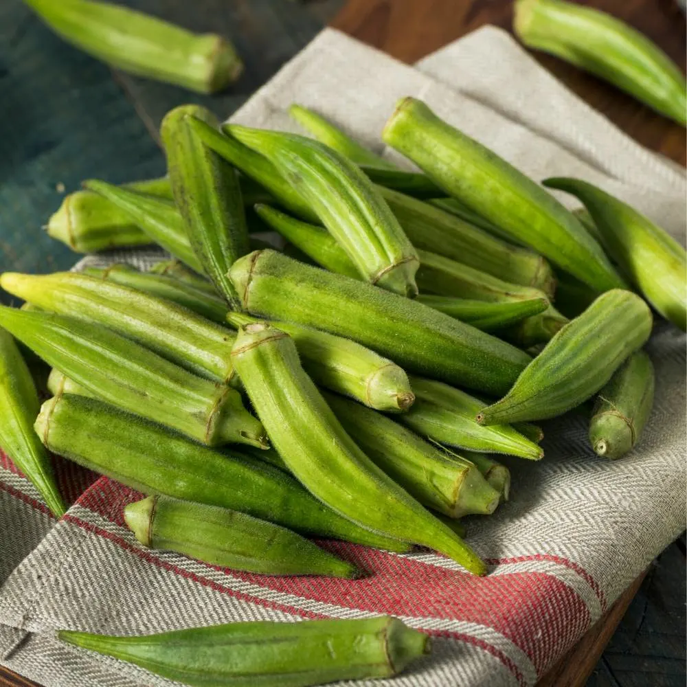 fresh young okra pods