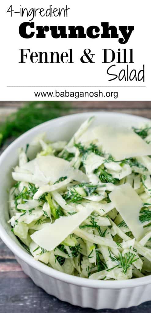 This crunchy Fennel Salad with Dill is absolutely addicting with delicious Parmesan cheese mixed into the dressing. It's super easy to make and will become a family favorite in no time! From www.www.babaganosh.org
