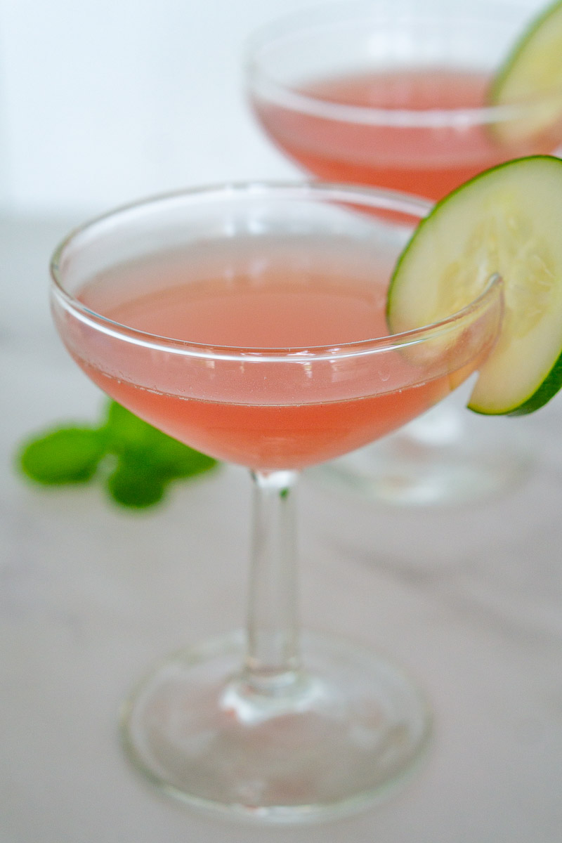 watermelong martini with cucumber slices
