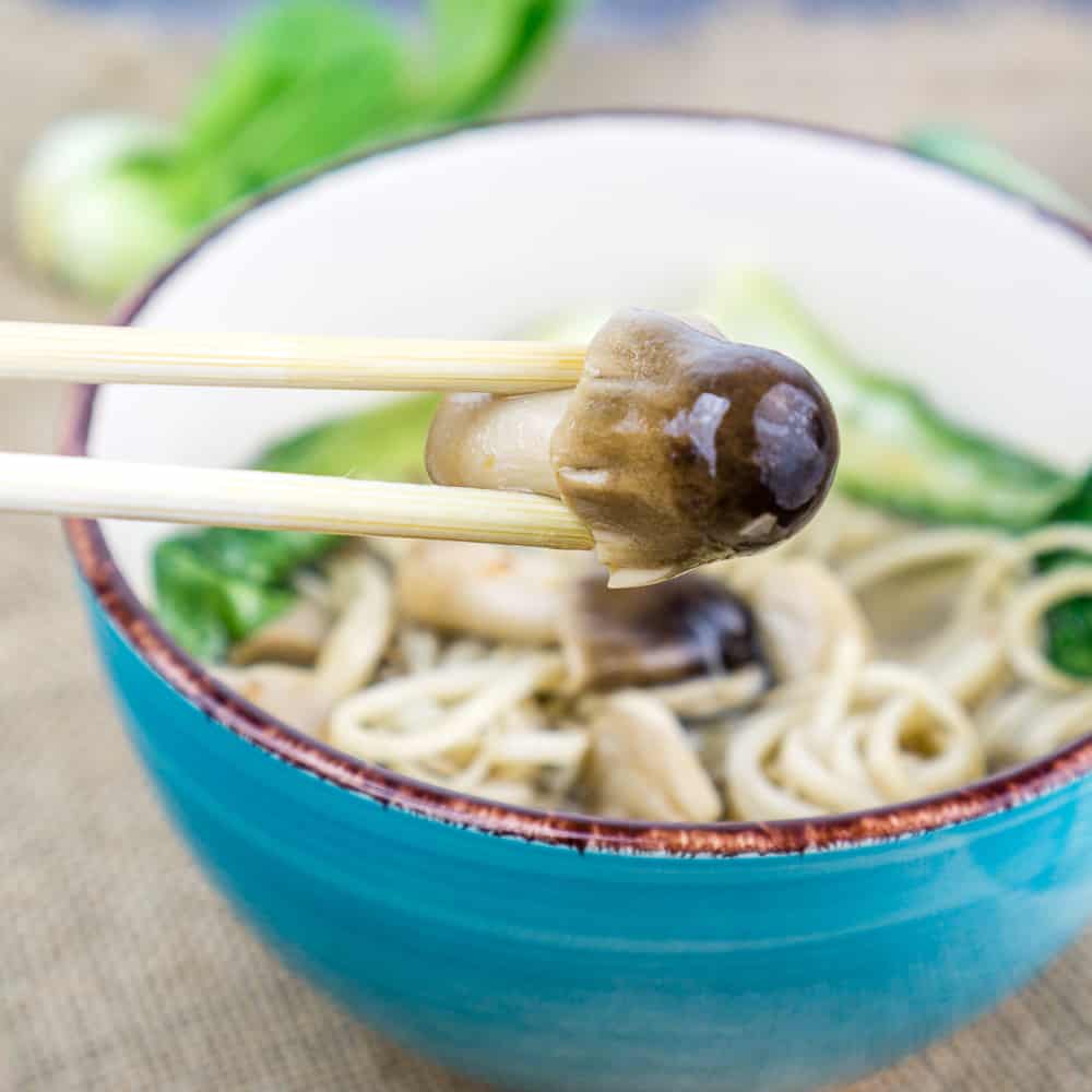 Close up of Straw Mushroom in front of a bowl of Mushroom Noodle Soup | Babaganosh.org