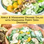 Apple Mandarin Orange Spinach Salad with homemade Mandarin-Poppyseed Dressing - www.babaganosh.org