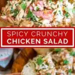 spicy crunchy chicken salad pinterest graphic collage of pictures