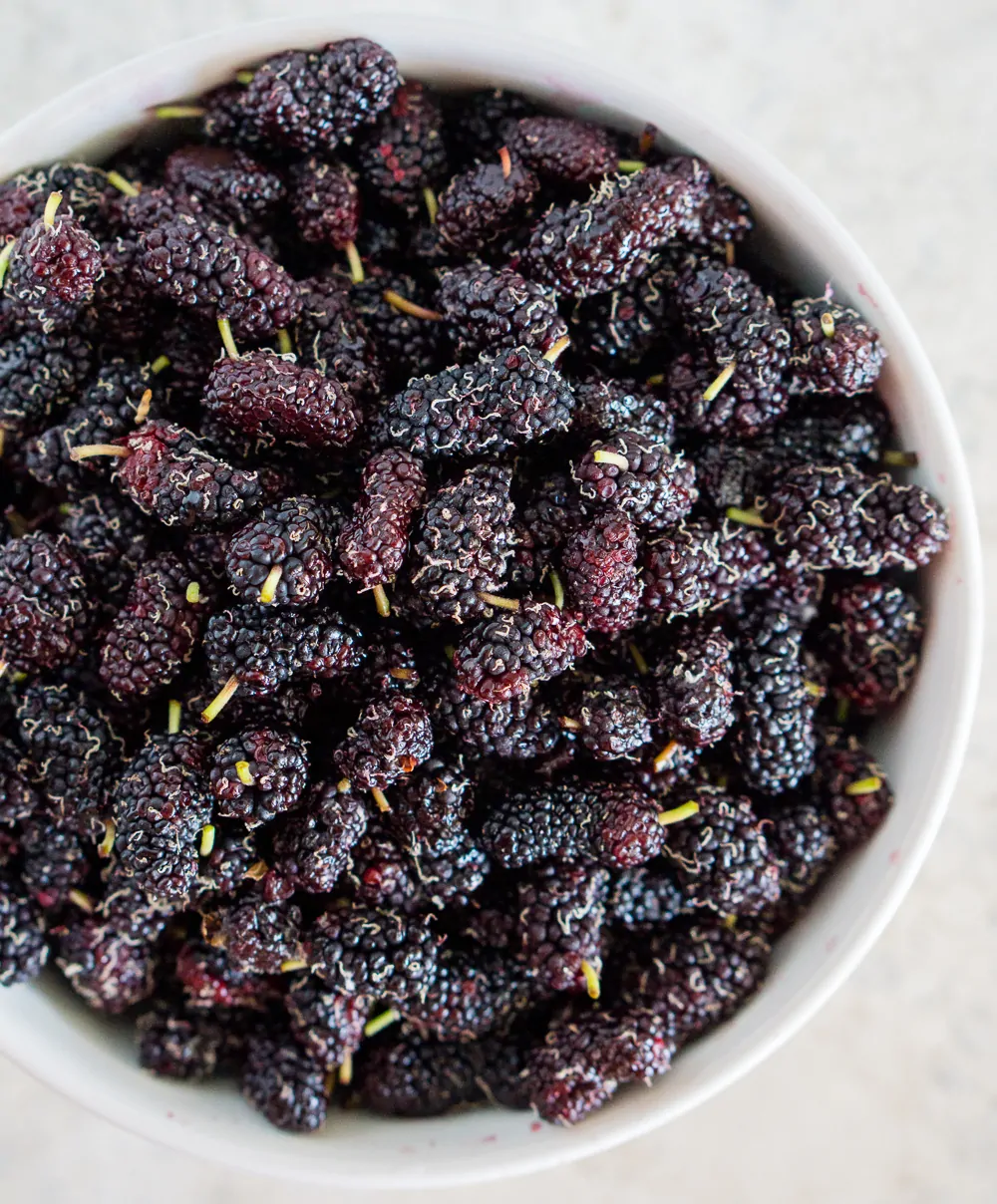 image of mulberries in a bowl