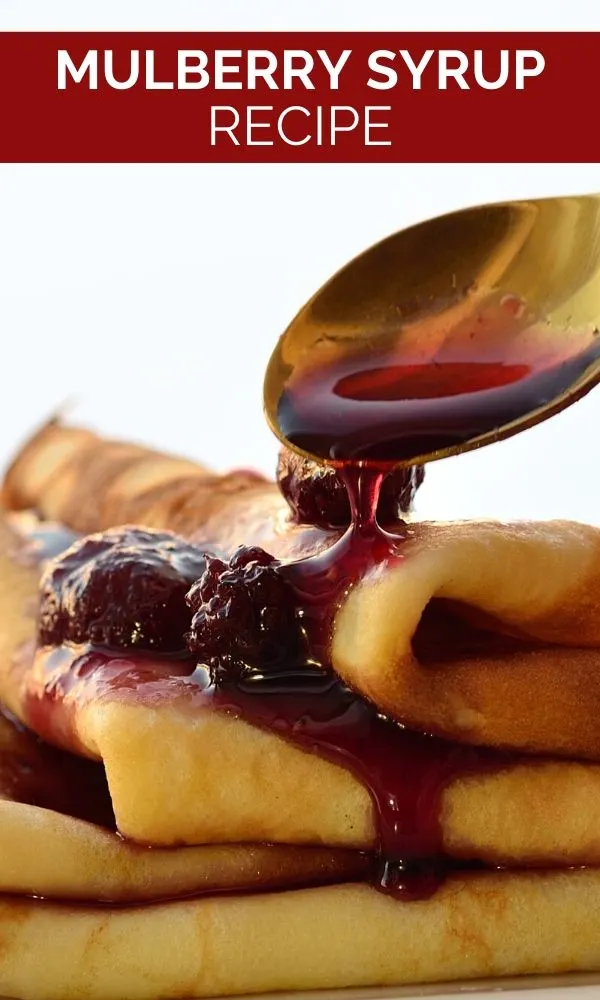 mulberry syrup on crepes pinterest graphic