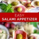 pinnable image of easy salami appetizer