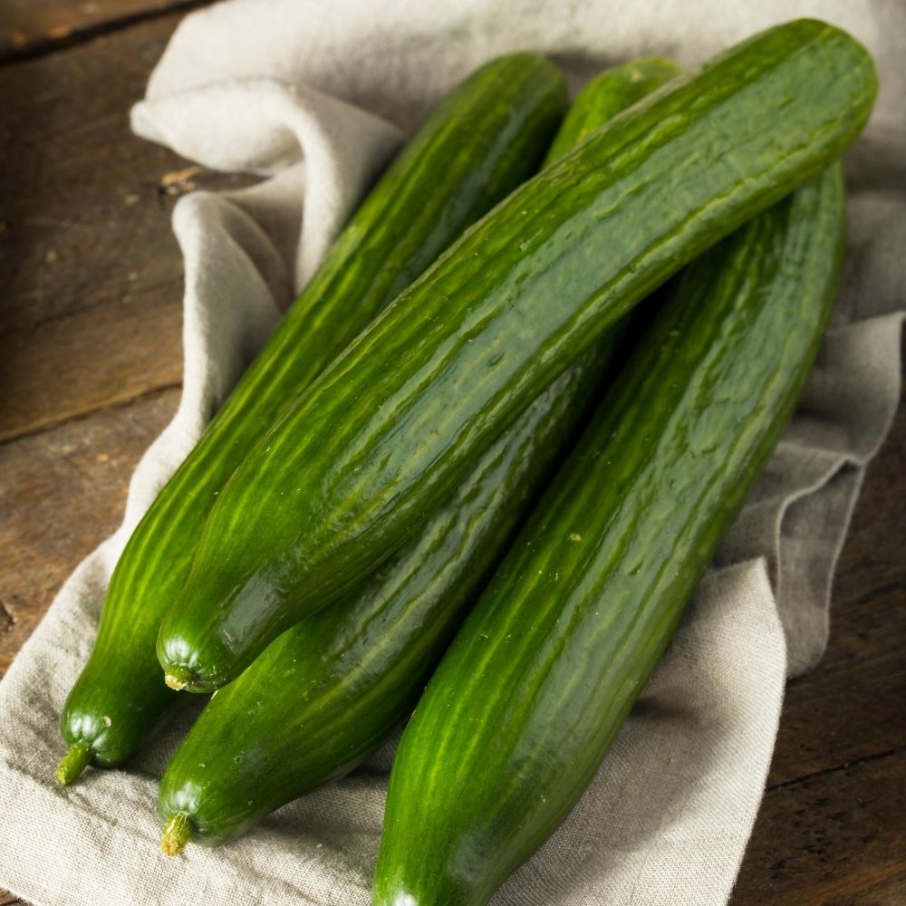 european cucumbers on a tray