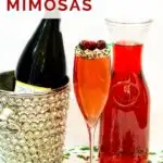 pinnable image of cranberry prosecco mimosa