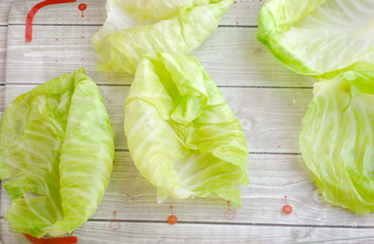 Slightly boiled cabbage leaves for making stuffed cabbage.