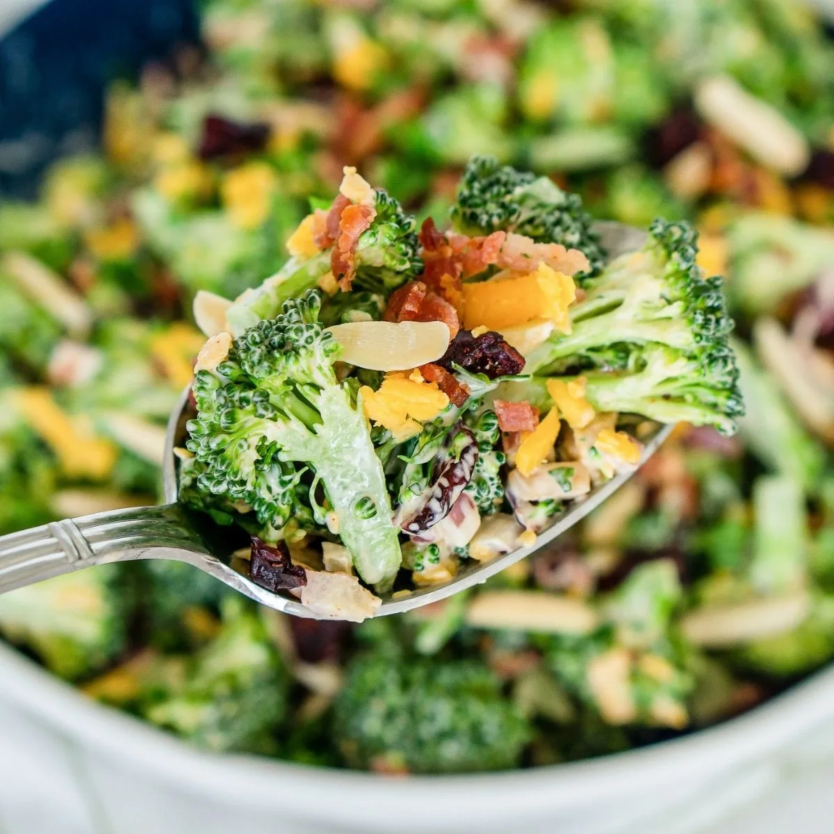 Serving spoon full of loaded broccoli salad with cheese, bacon, almonds, cranberries.