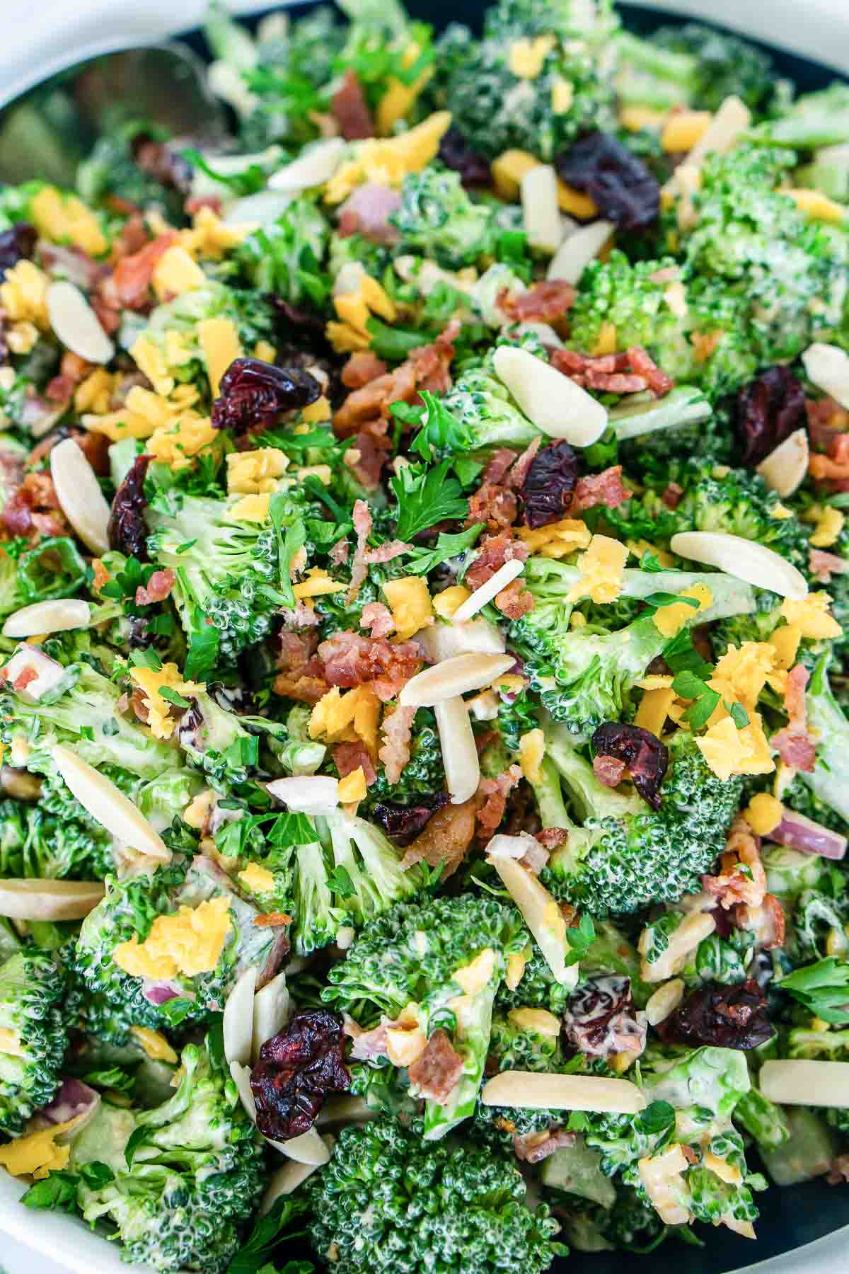 Close up of creamy broccoli salad with cranberries and bacon.