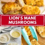 Pinnable image with text: lion's mane mushrooms.