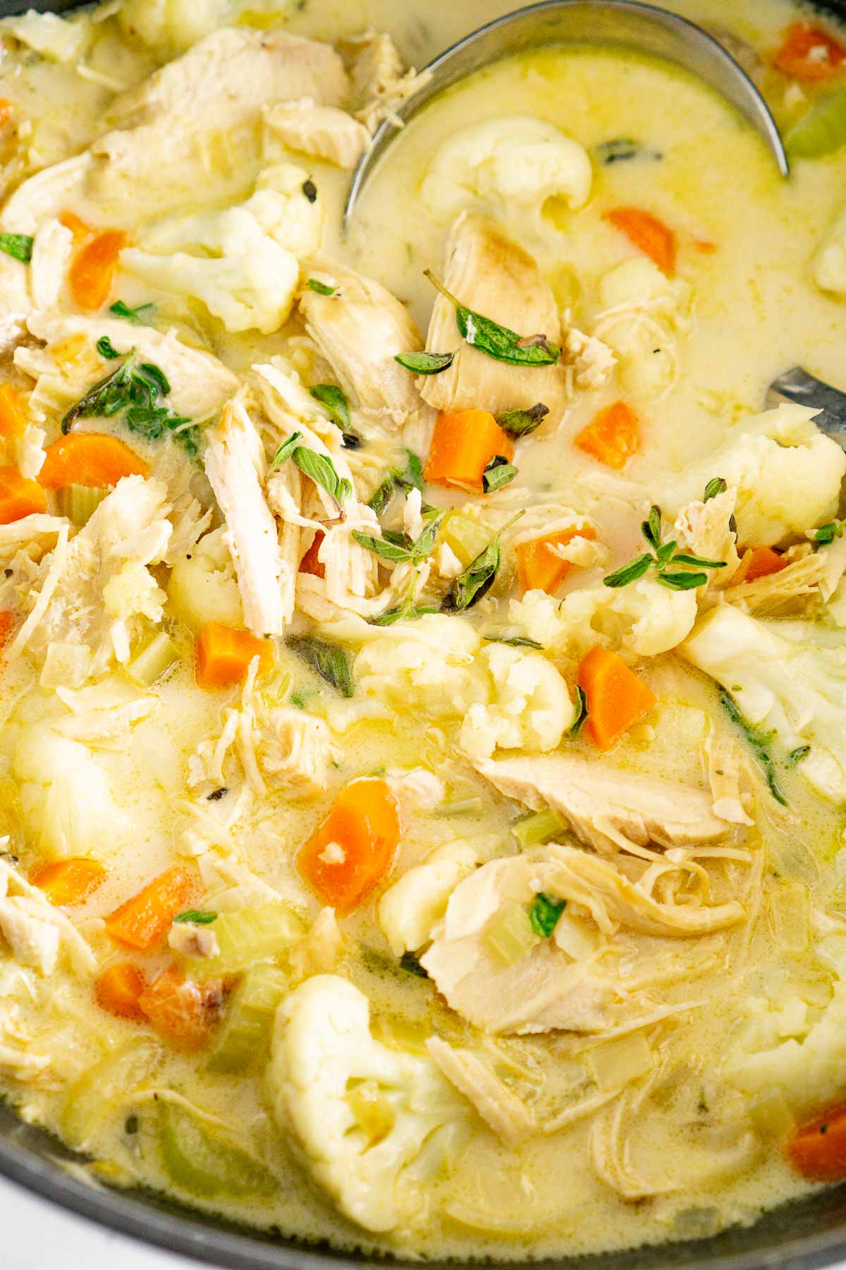 Close up picture of chicken cauliflower soup.