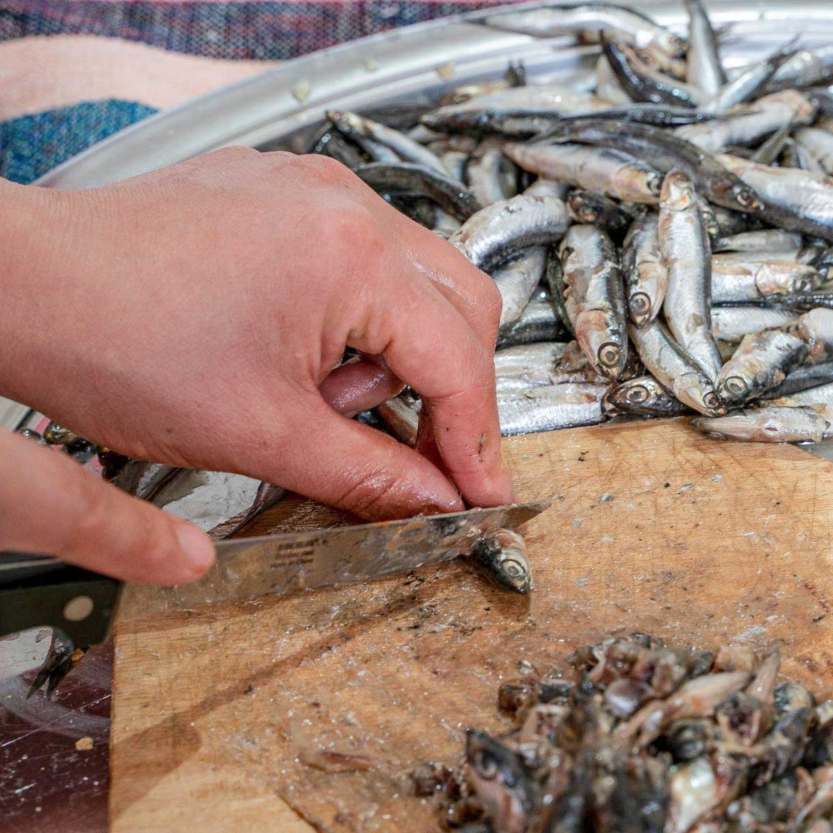 Removing head from anchovies