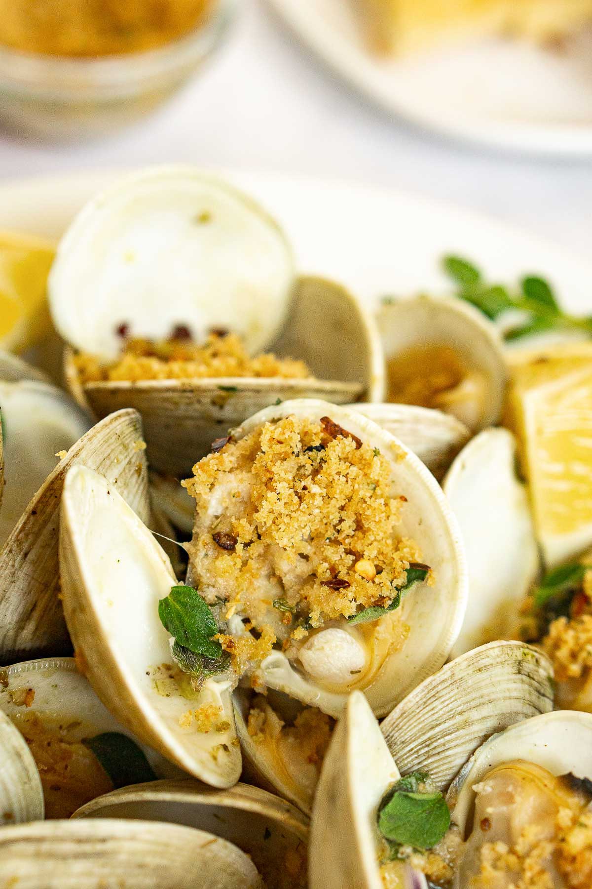 Littleneck clams with oregano breadcrumbs on top on a plate.