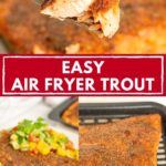 Pinterest image with text: Easy air fryer trout