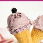 Pinterest image with text: Mulberry Ice Cream