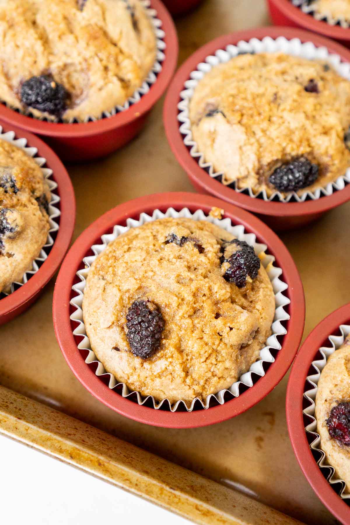 Baked mulberry muffins in silicone muffin cups