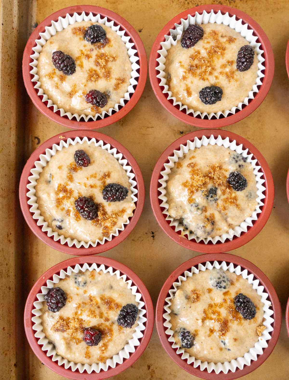 Mulberry muffin batter in muffin molds topped with fresh mulberries and brown sugar
