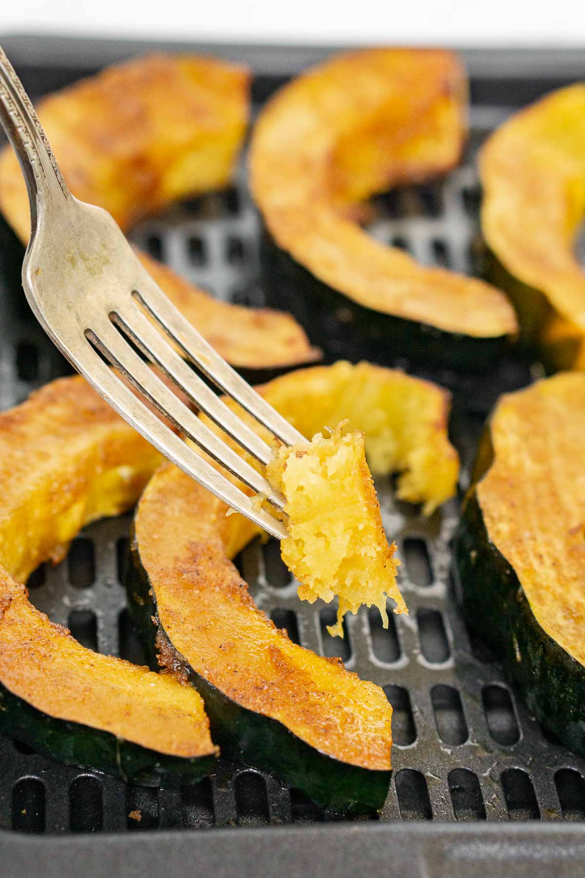 Fork holding a piece of air fried acorn squash to show texture.