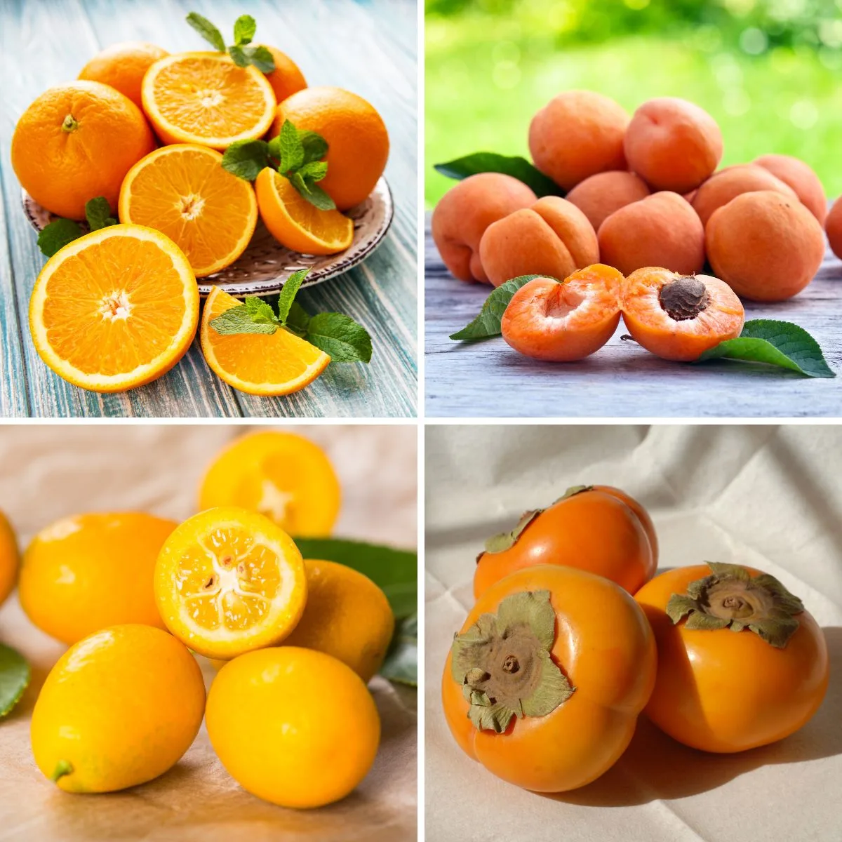 Collage of 4 orange fruits