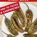 Pinterest image with text: Roasted blistered jalapeños - add to sandwiches and tacos
