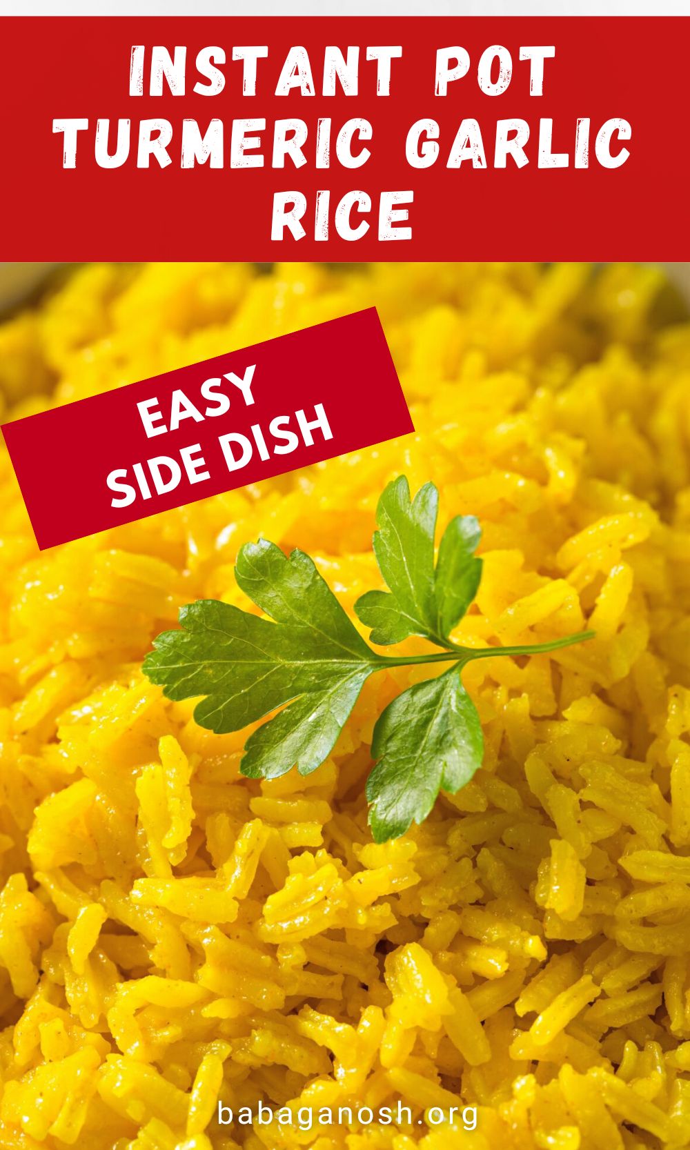 Garlic Turmeric Rice Babaganosh