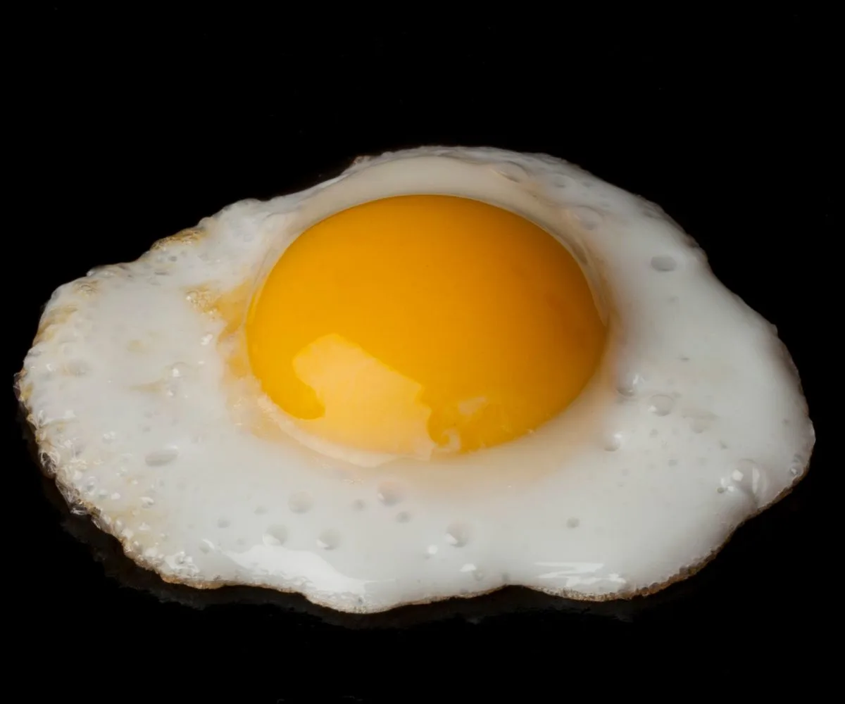 Close up of a fried quail egg
