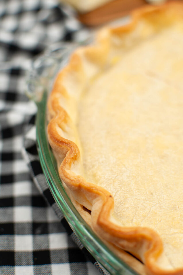 Easy Savory Pie Crust Babaganosh