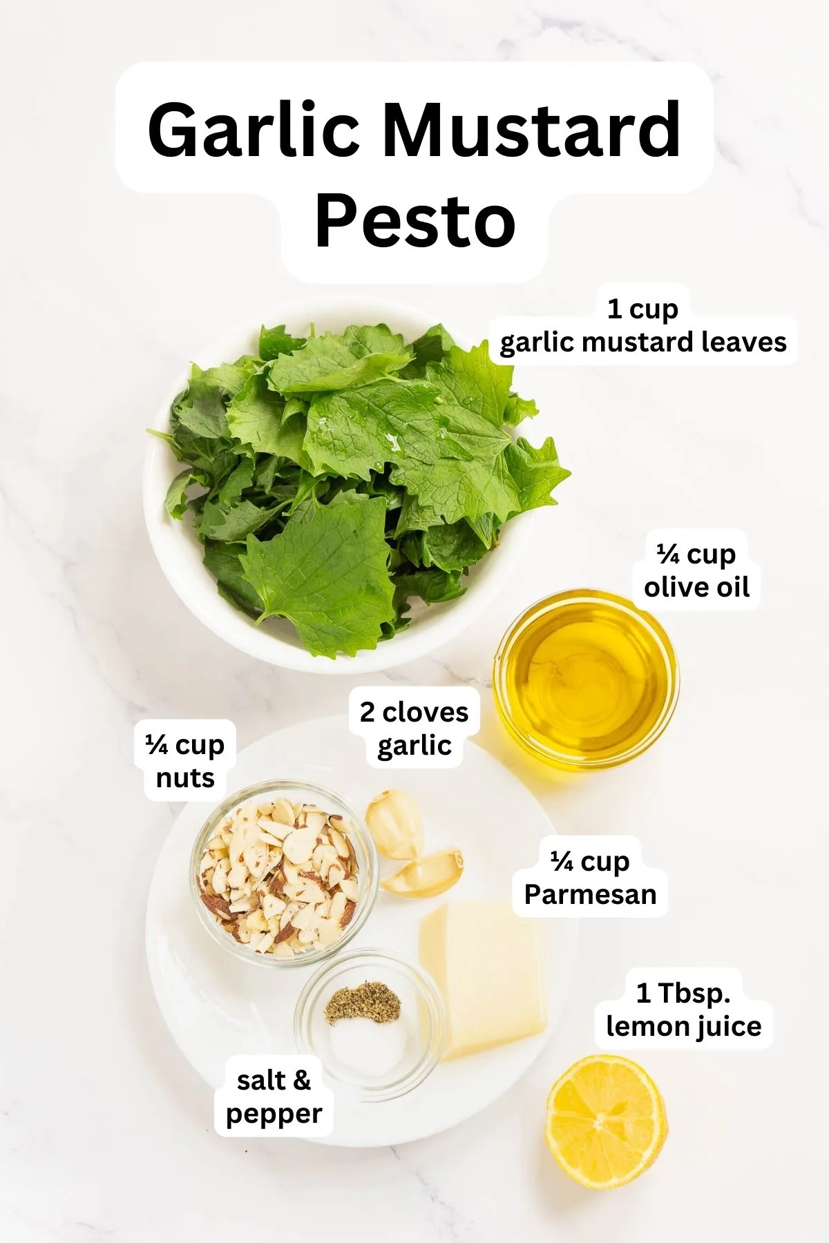 Ingredients to make garlic mustard pesto