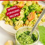 Image with text: Garlic mustard pesto - spring foraging recipe