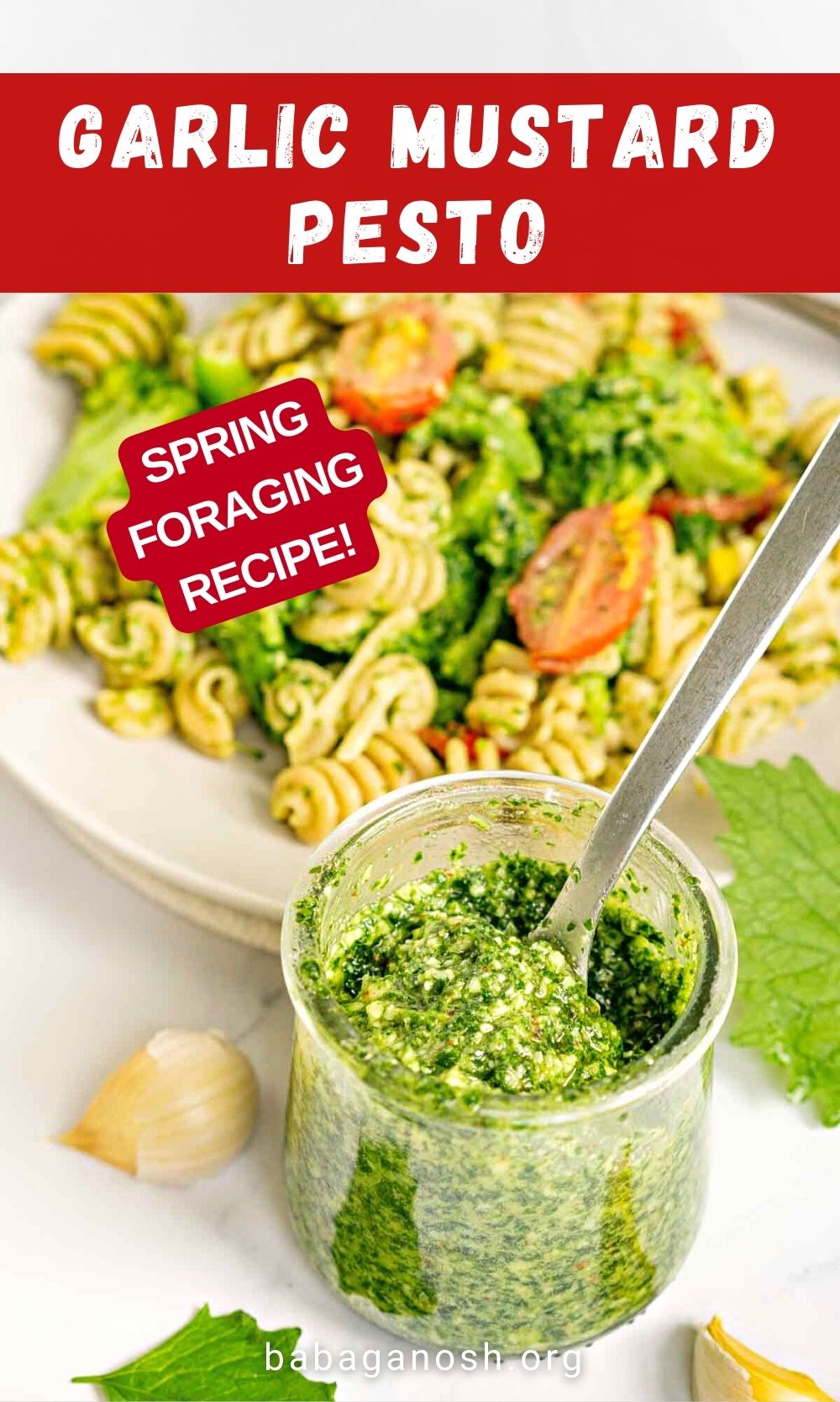 Garlic Mustard Pesto Babaganosh