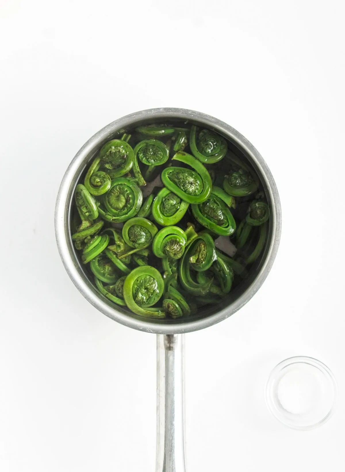 Fiddleheads blanching in a saucepan until they turn bright green