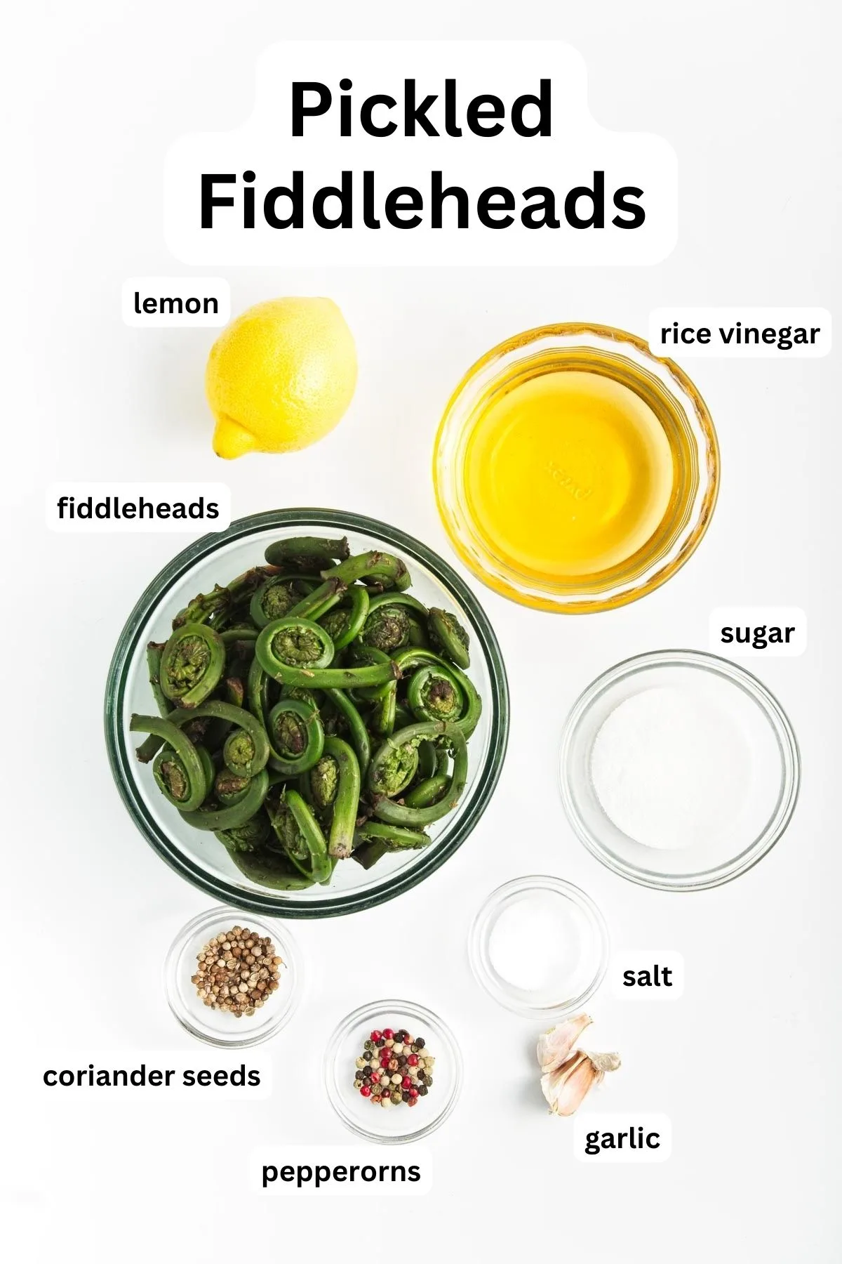 Ingredients to make pickled fiddleheads