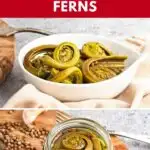 Pinterest image with text: Pickled fiddlehead ferns