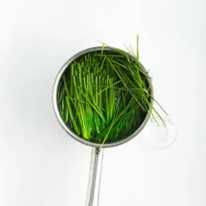 Blanching chives in boiling water in a pot