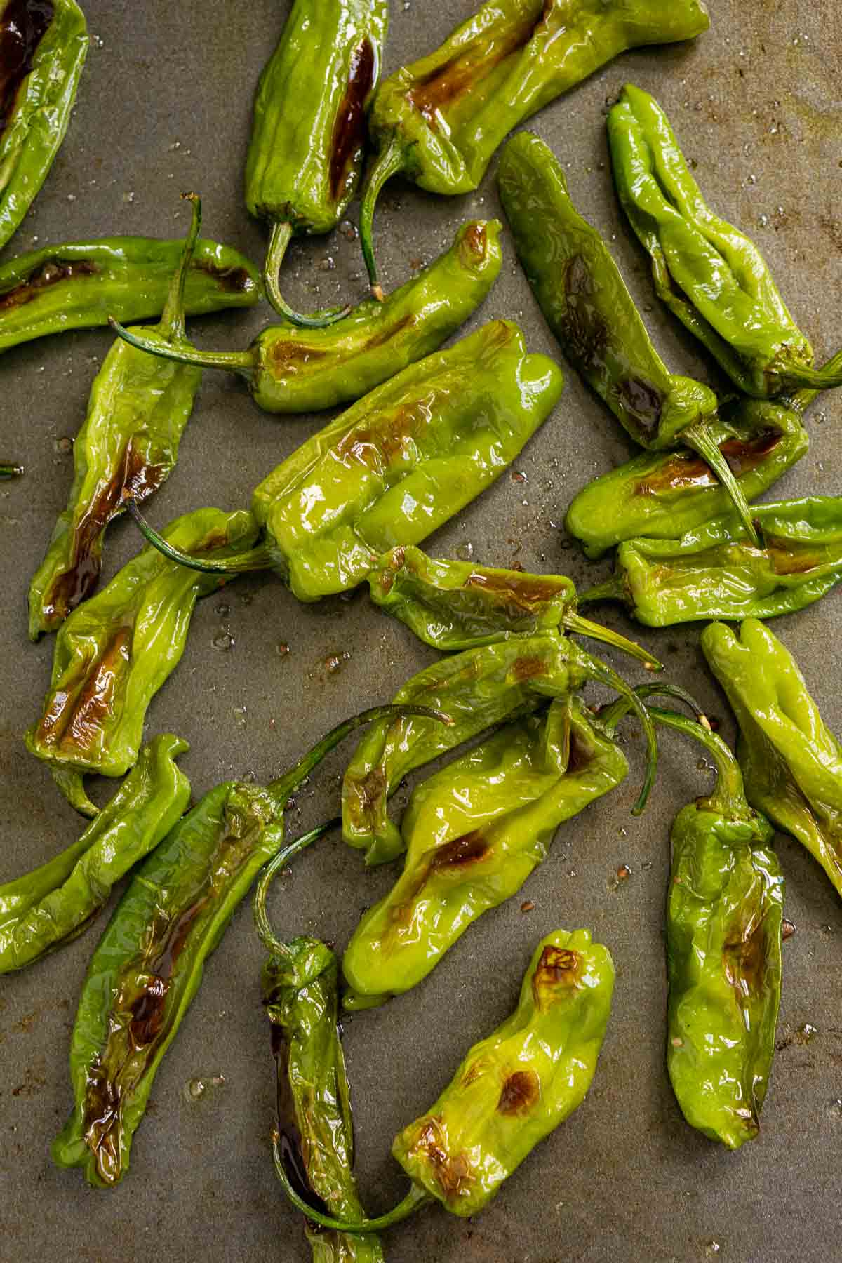 Roasted shishito peppers on a baking pan