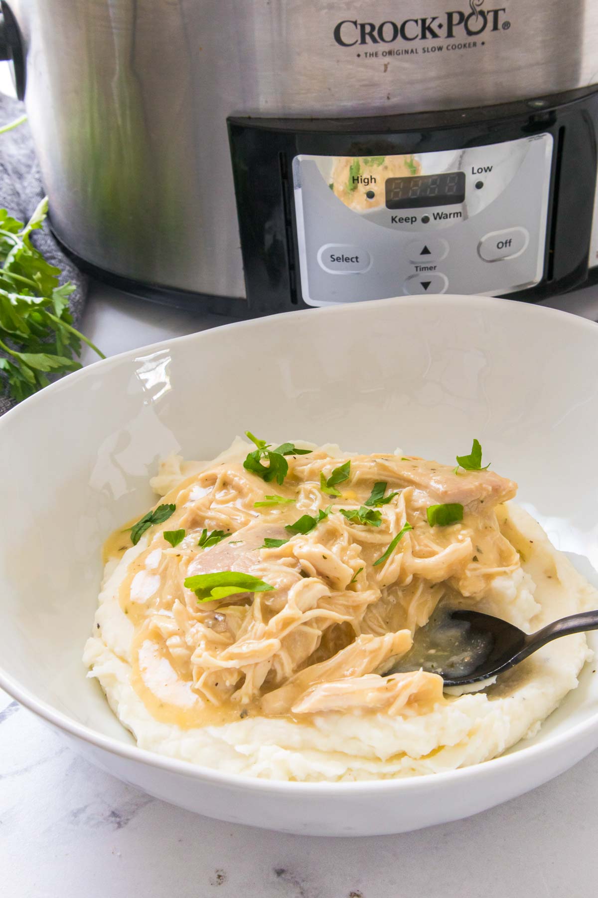 Shredded chicken in creamy gravy over mashed potatoes in a plate next to a slow cooker