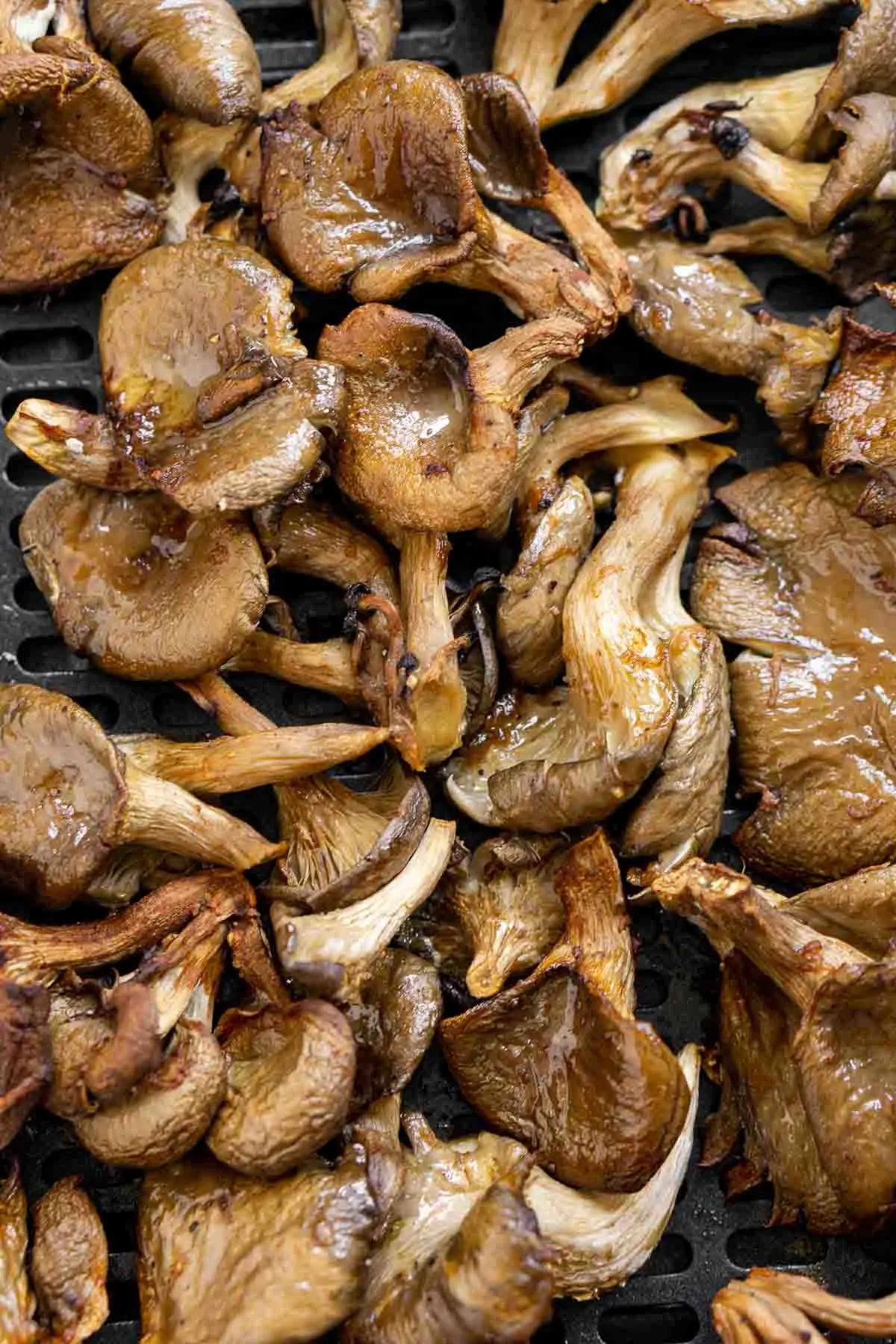 Close up of oyster mushrooms in an air fryer tray