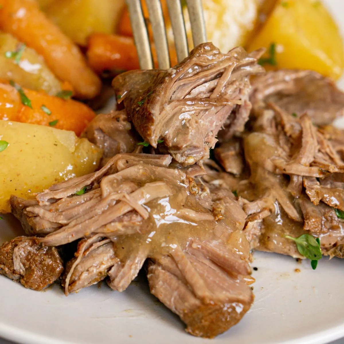 Fork digging into shredded venison pot roast