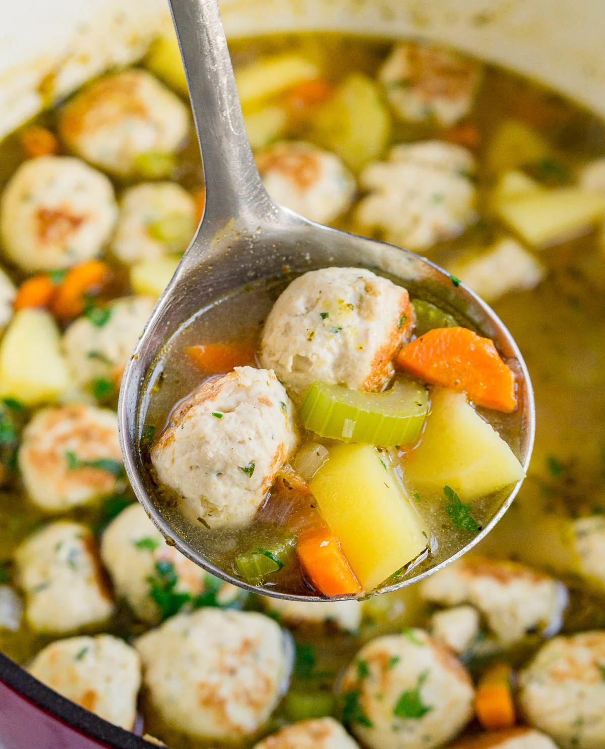 Ladle of chicken noodle soup