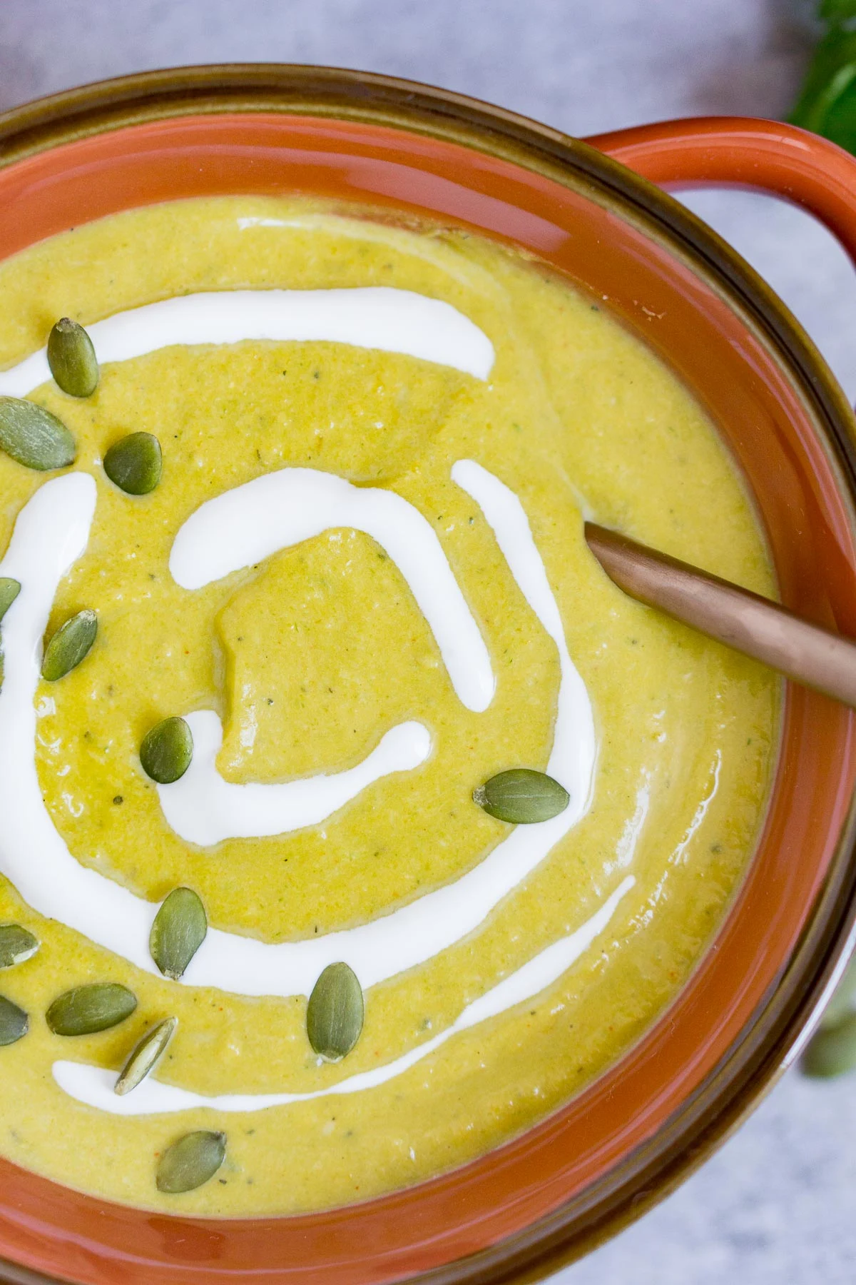 Bowl of roasted pumpkin leek soup